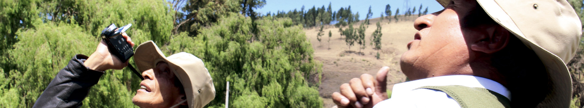 banner-image