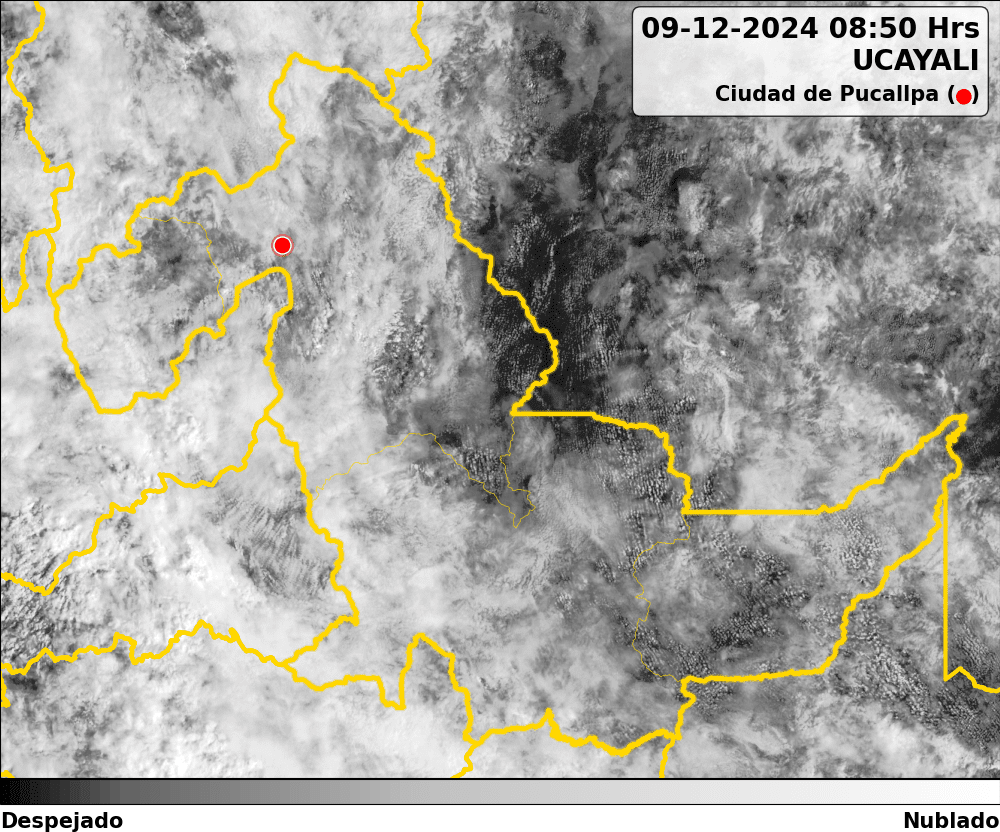 Satélite